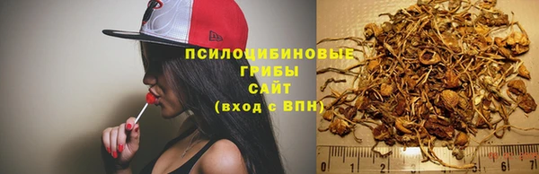прущий лед Горняк