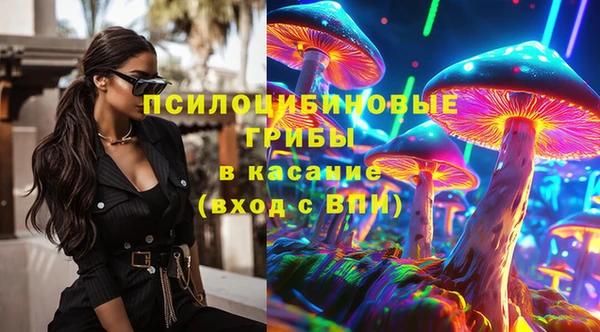 гидропоника Вязьма