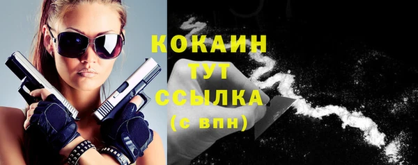 мяу мяу мука Горно-Алтайск
