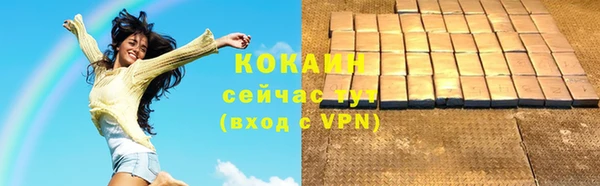 прущий лед Горняк