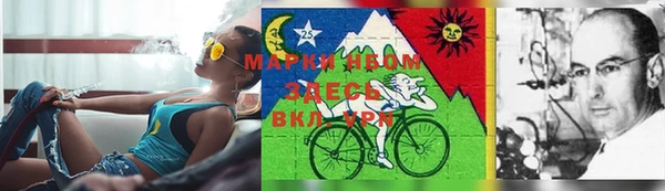 ешки Вяземский