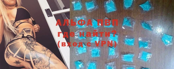 мяу мяу мука Горно-Алтайск