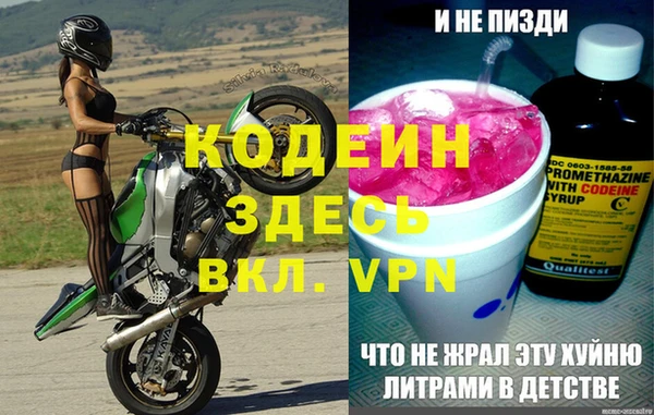 ешки Вяземский