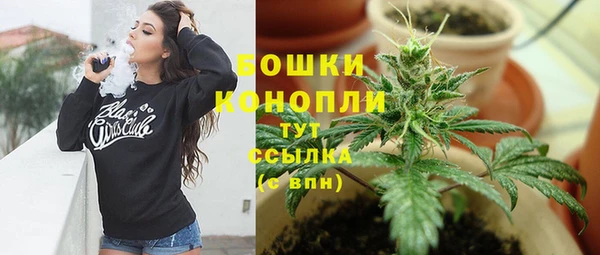 прущий лед Горняк