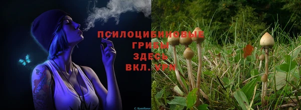 прущий лед Горняк