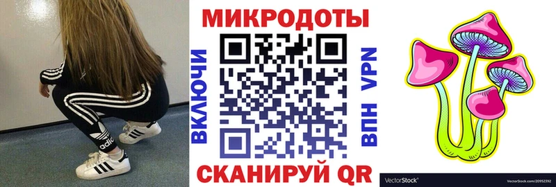Псилоцибиновые грибы Psilocybine cubensis  где можно купить   Зея 